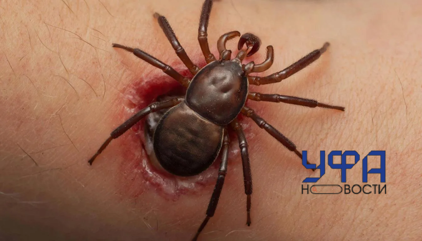 Сгенерировано нейросетью ГигаЧат