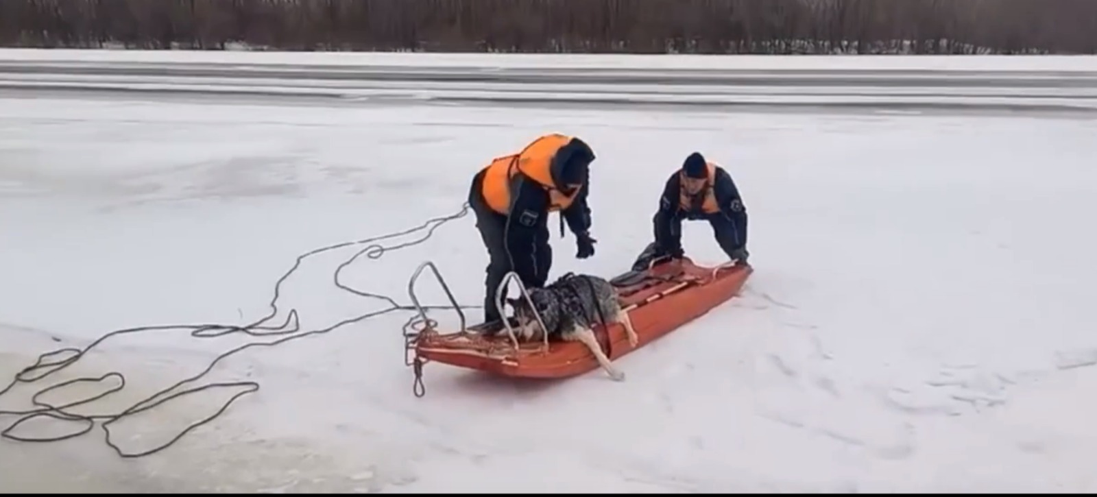 скриншот видео