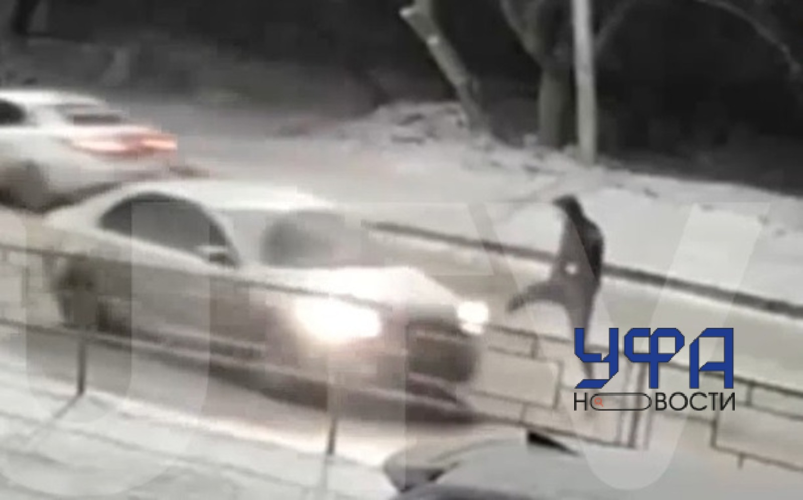 Фото: скриншот видео