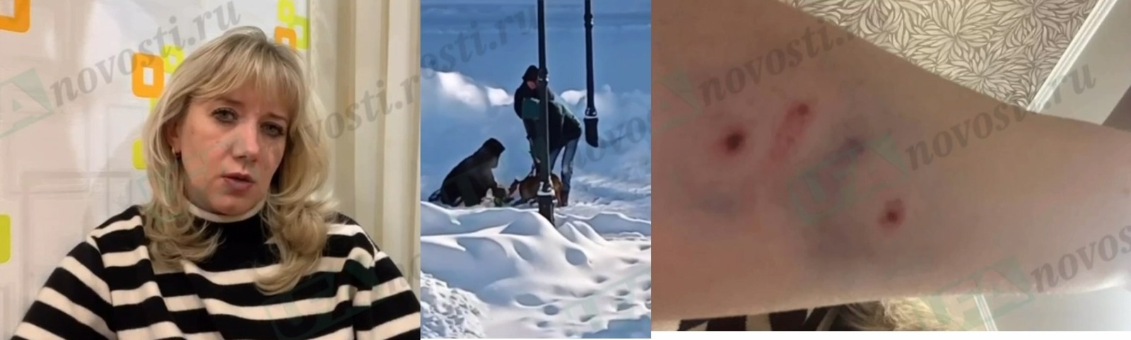 скриншот видео