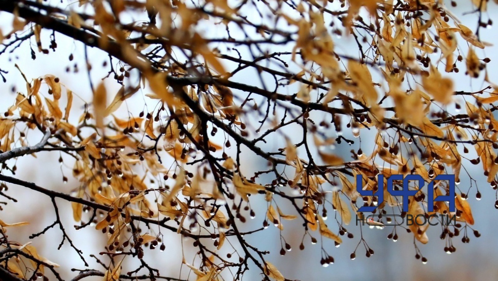 Архив Фотобанк Ufanovosti.ru