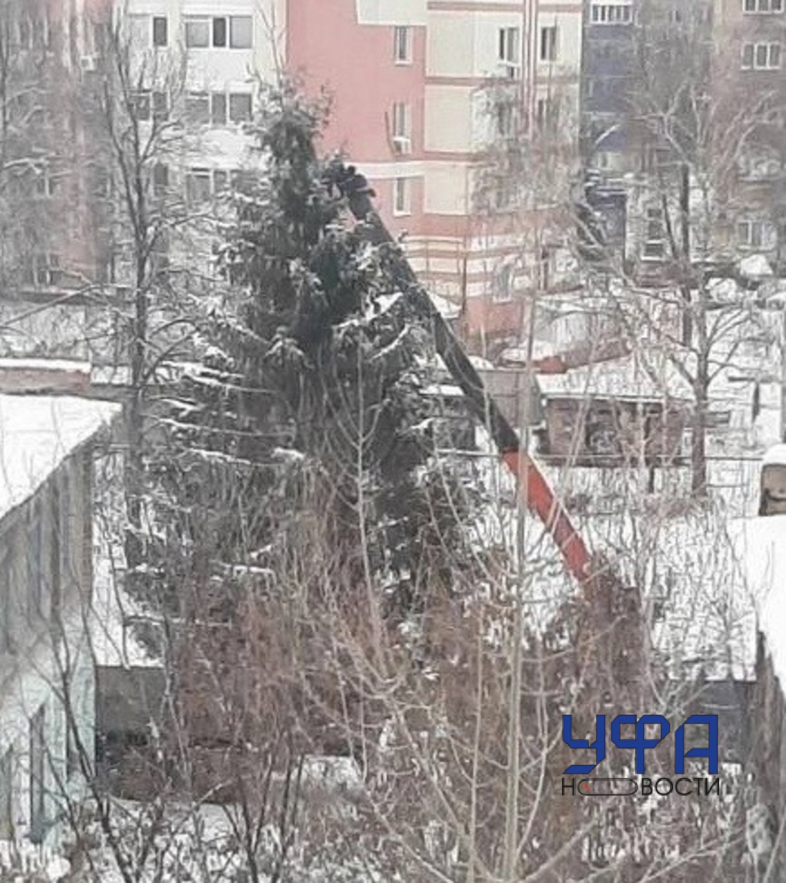 Фото: социальные сети