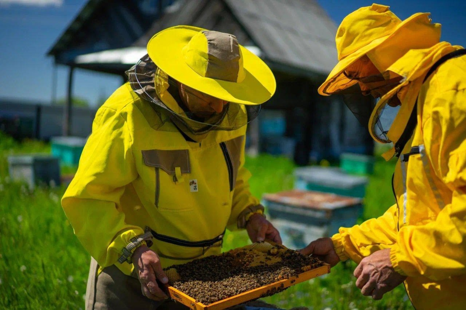 Фото: тг-канал Радия Хабирова