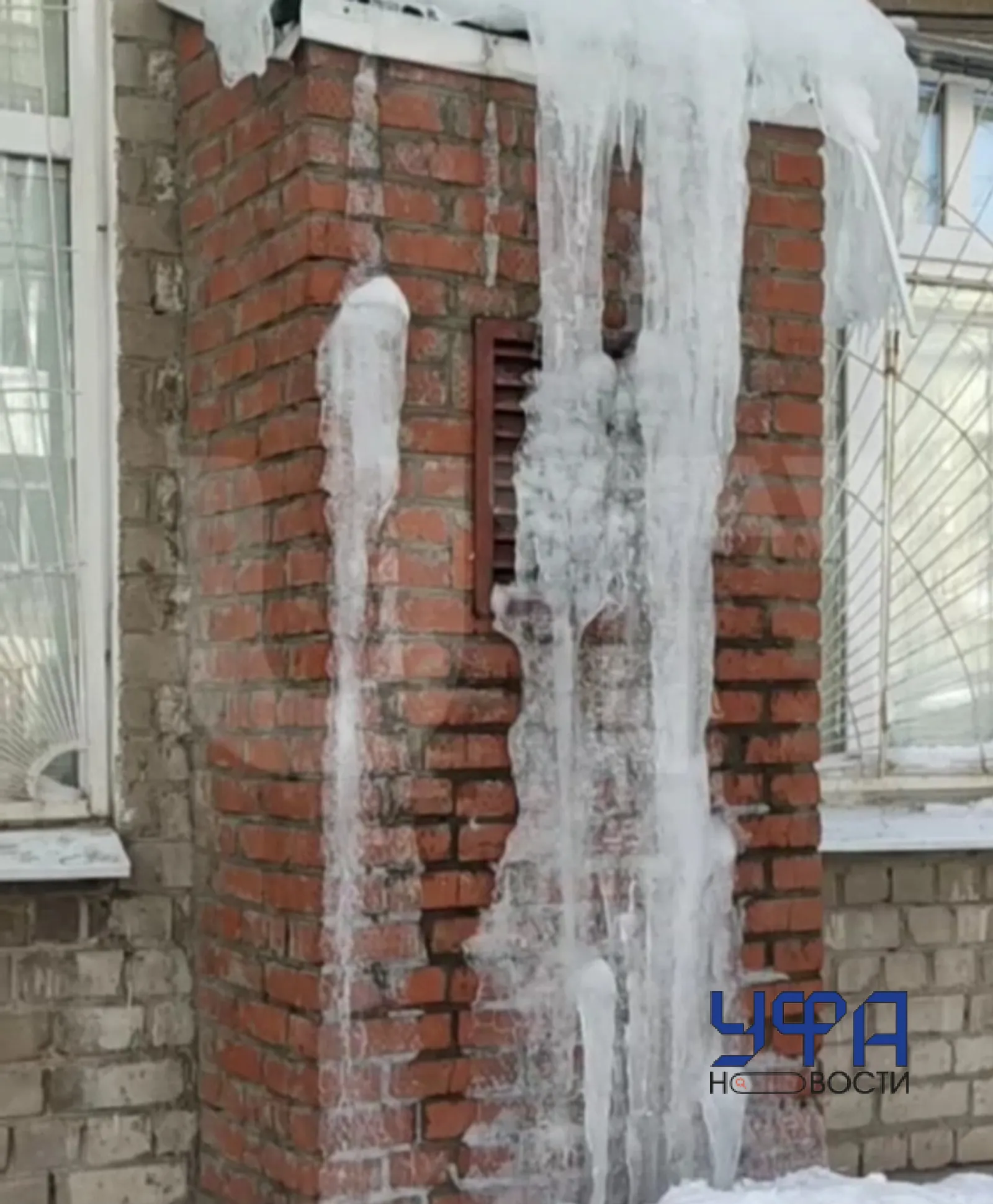 Фото: социальные сети