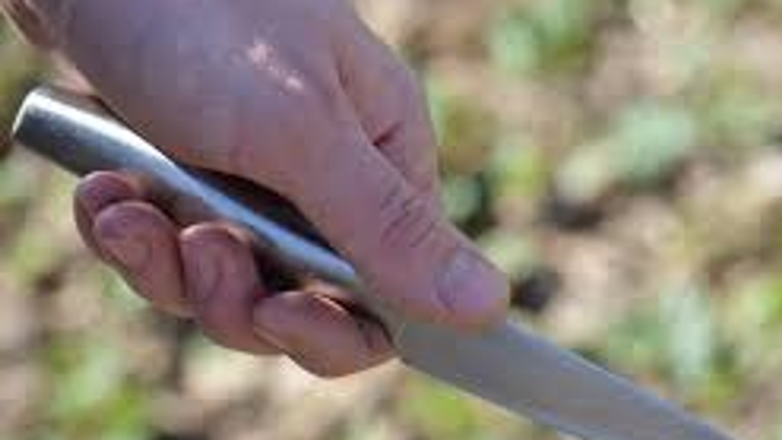 Фотобанк Ufanovosti.ru Архив