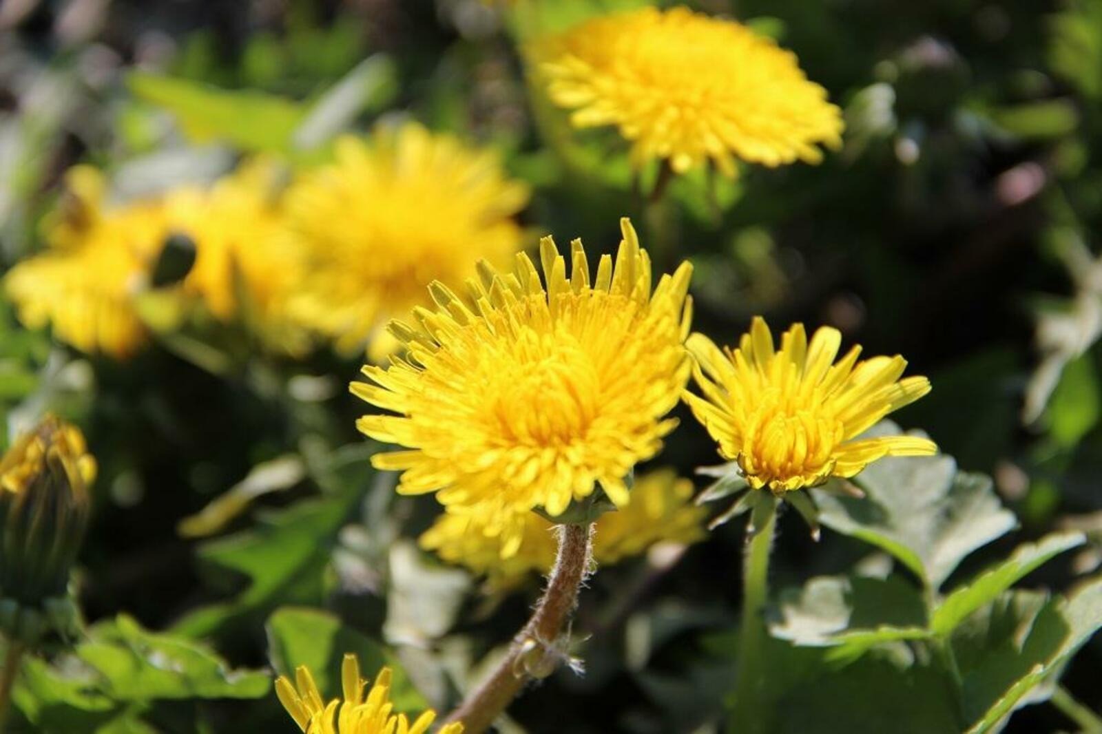 Фотобанк Ufanovosti.ru