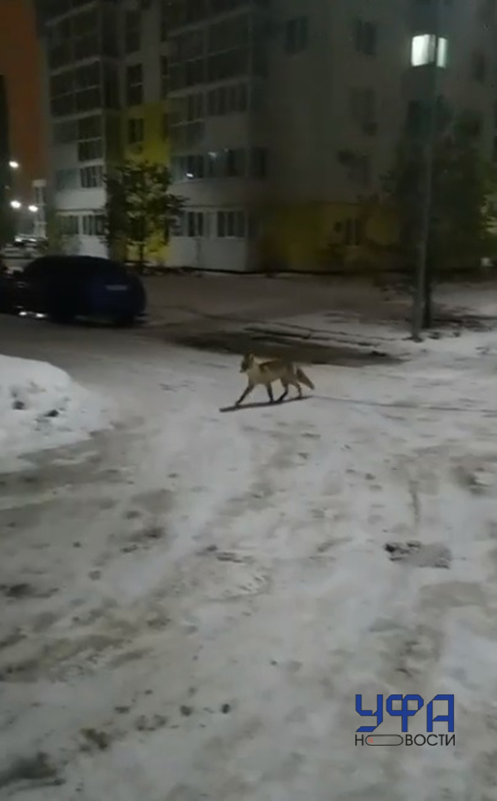 Фото: социальные сети