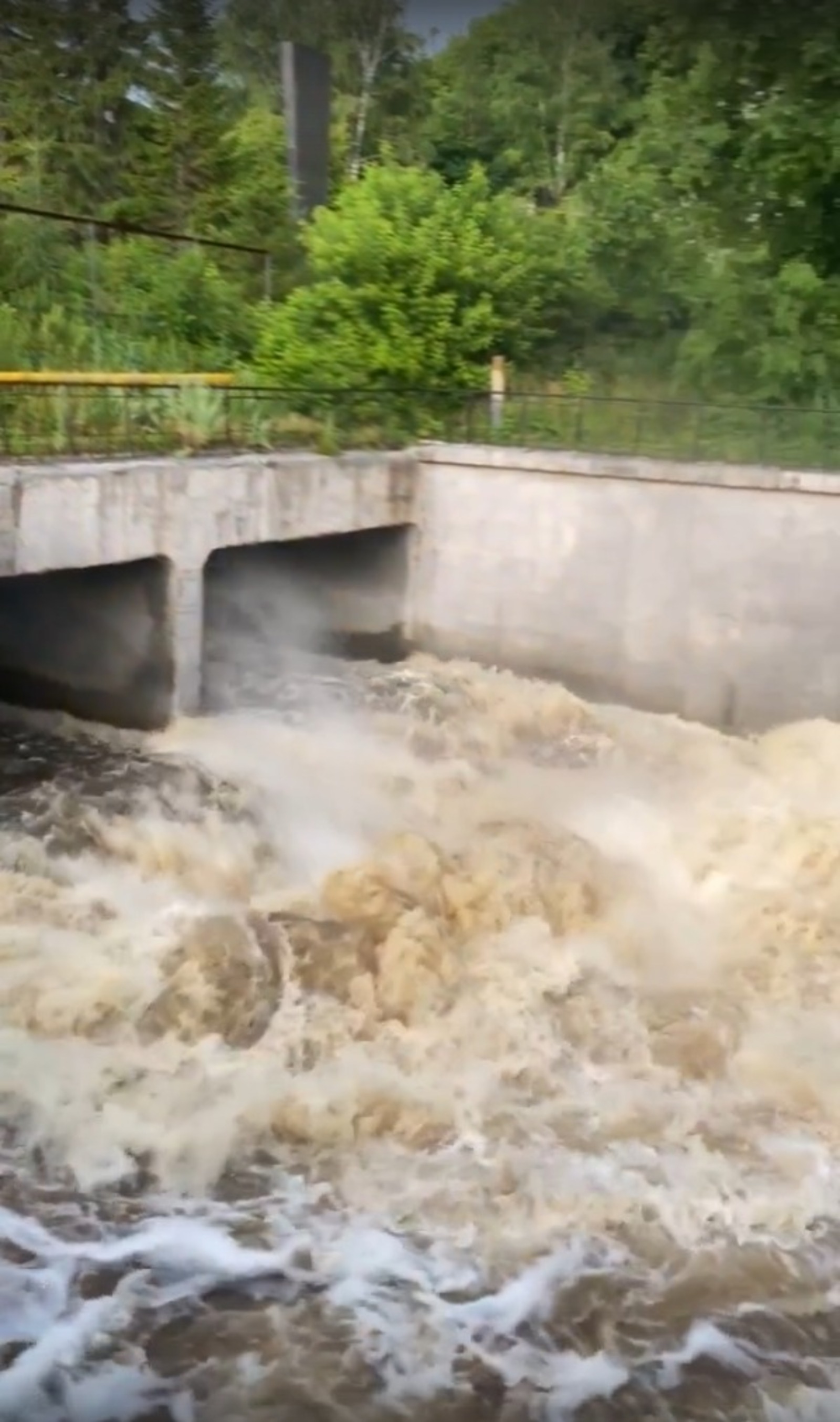скриншот видео