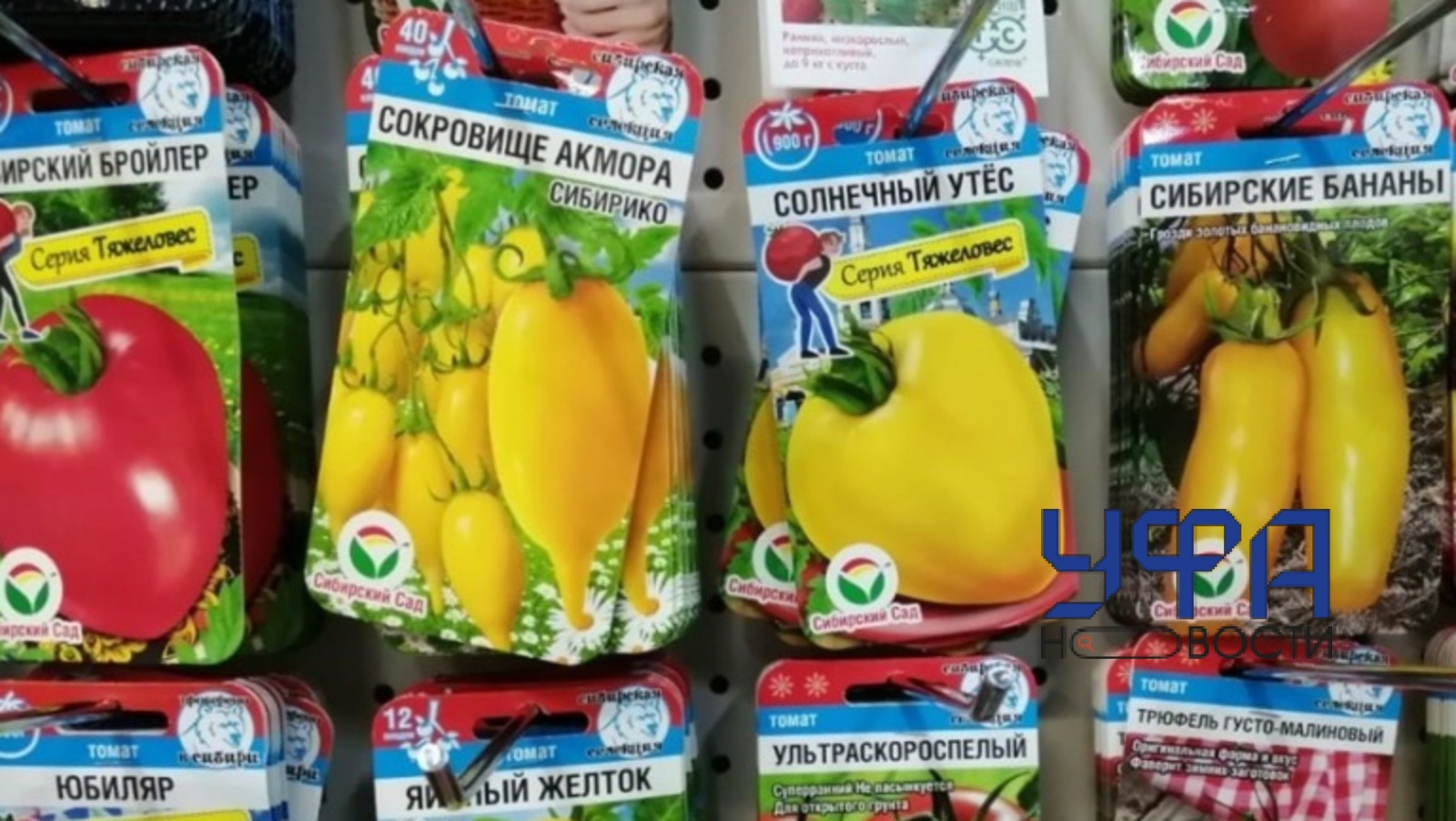 Россельхознадзор пресс-служба Россельхознадзора РБ