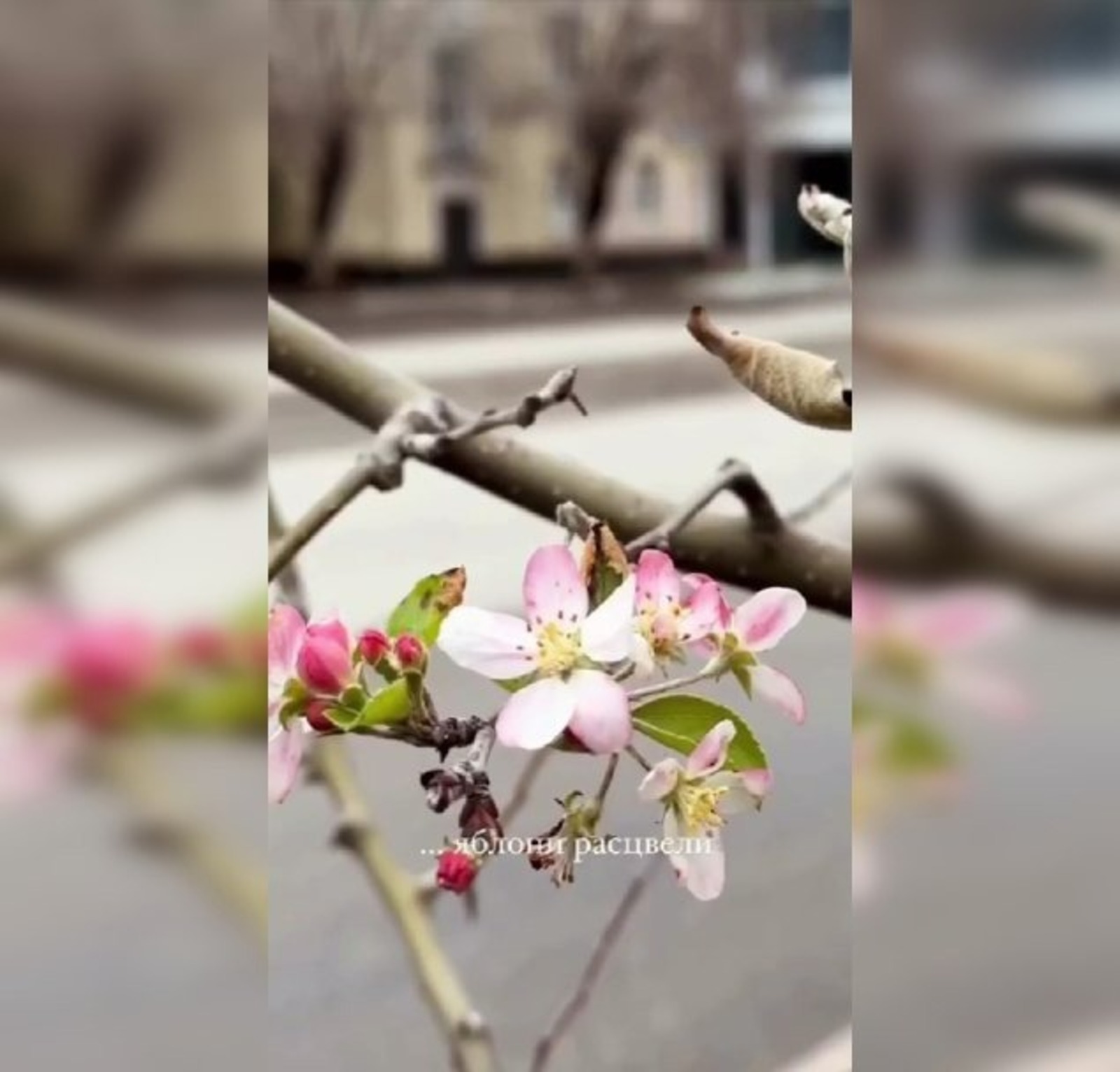 скриншот видео