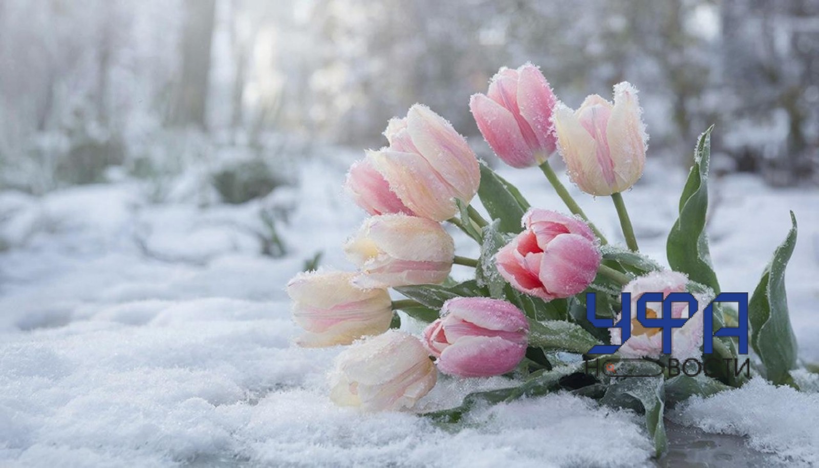 Сгенерировано нейросетью ГигаЧат