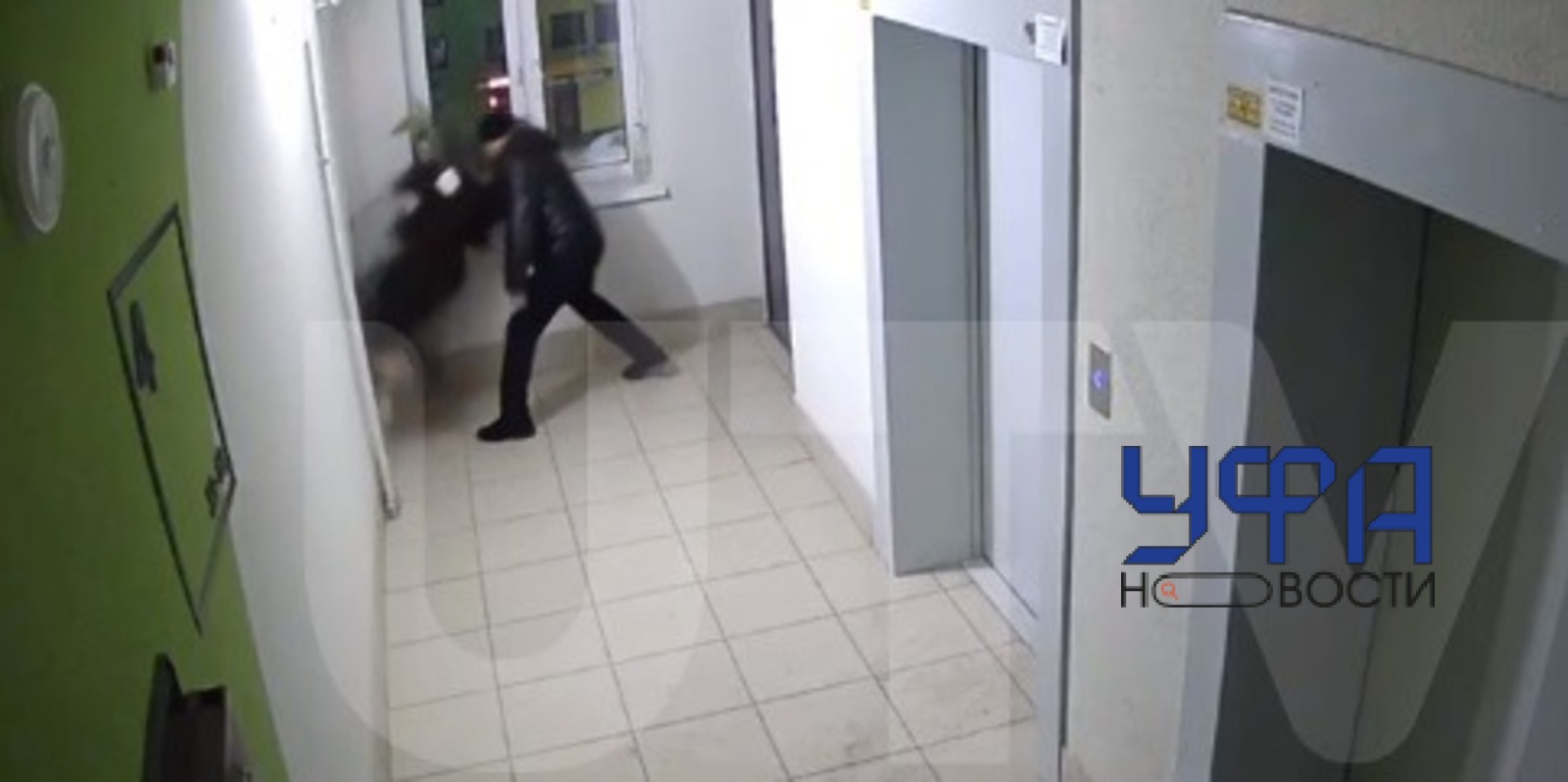 Фото: скриншот видео