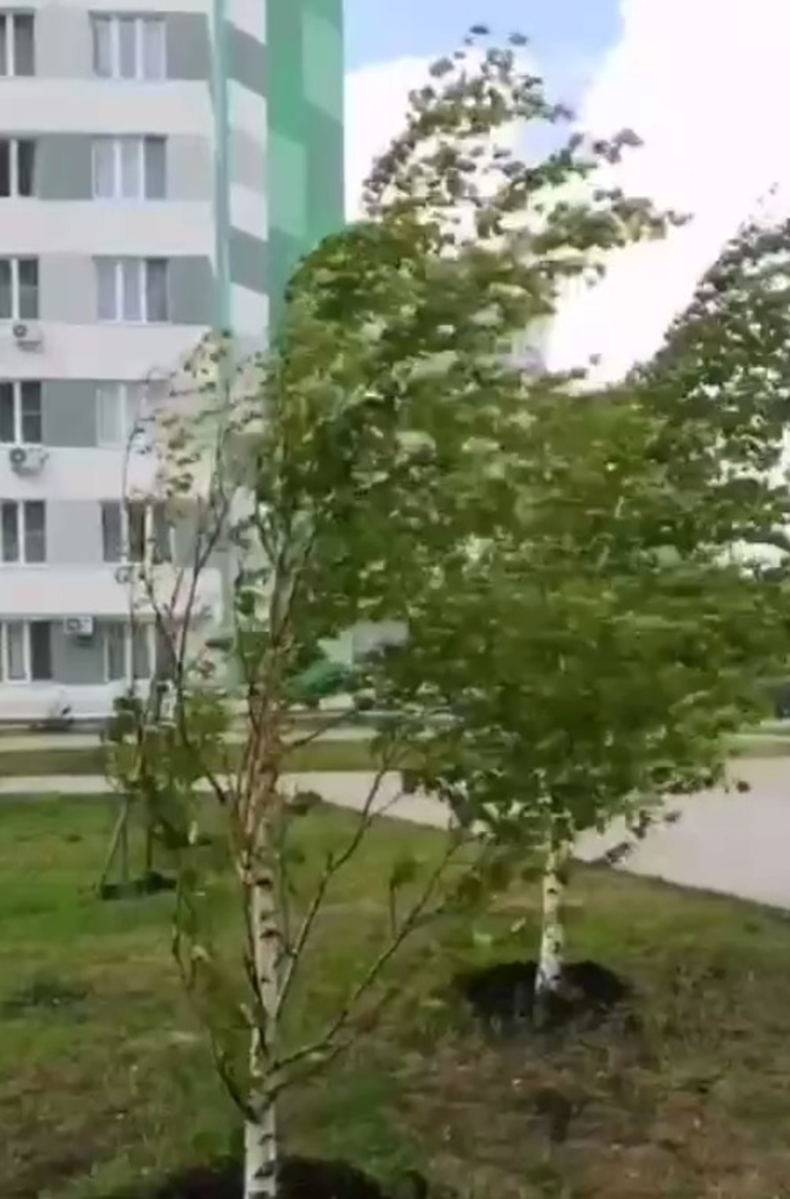 Скриншот видео МЧС Башкирии