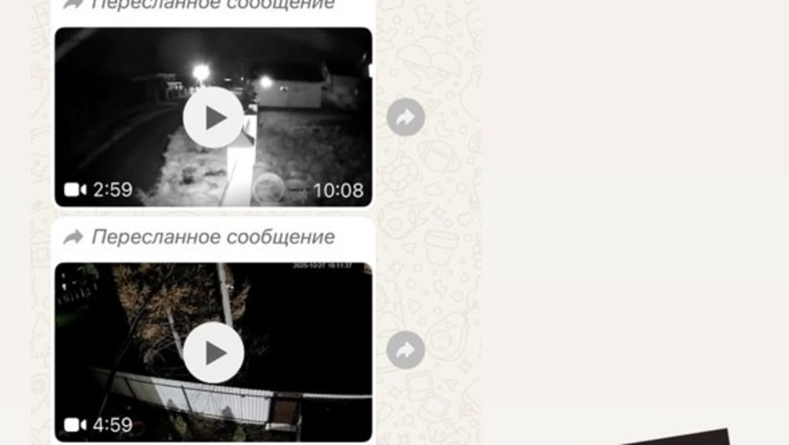 Альбина Хафизова Соцсети