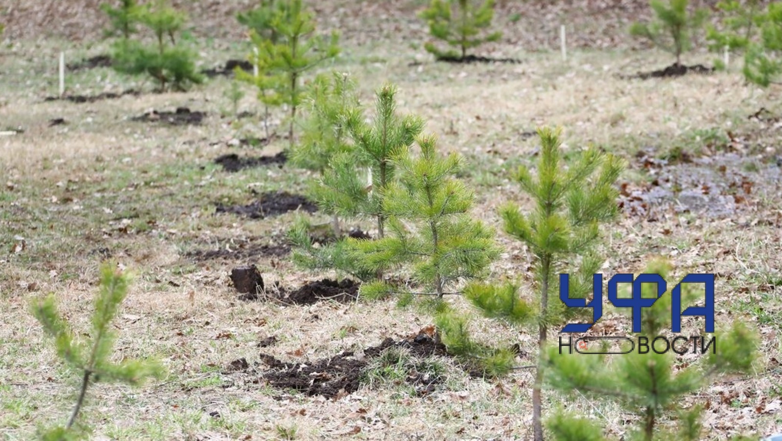 ИА "Башинформ"   ИА «Башинформ»