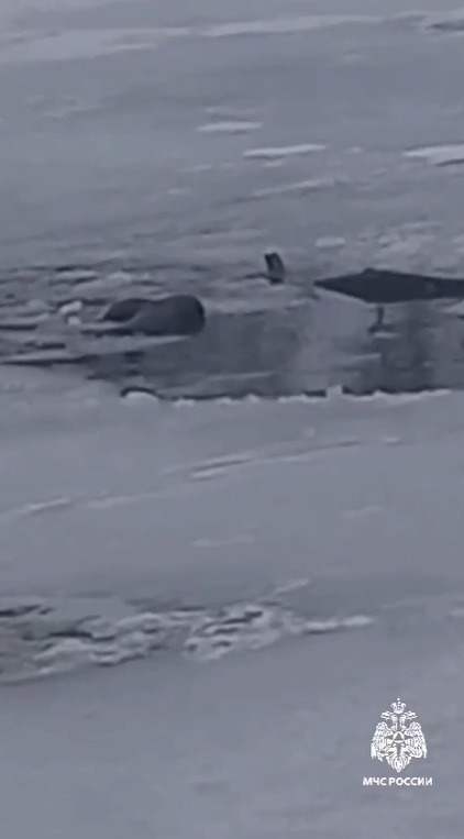 В Башкирии рыбак ушел под лёд