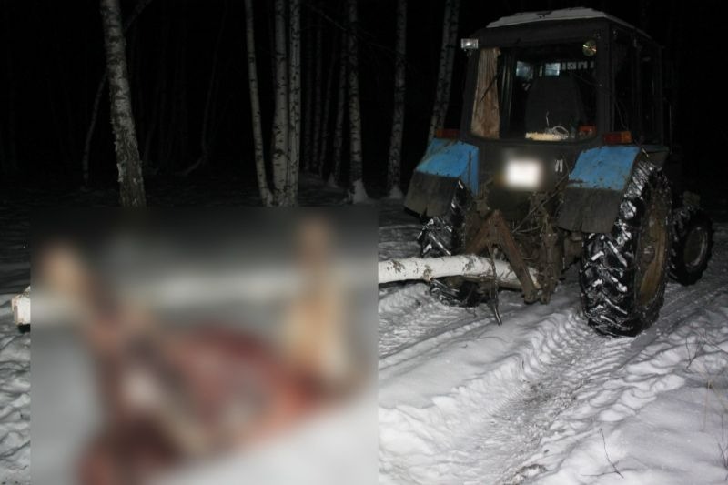 В Башкирии мужчина незаконно застрелил двух лосей