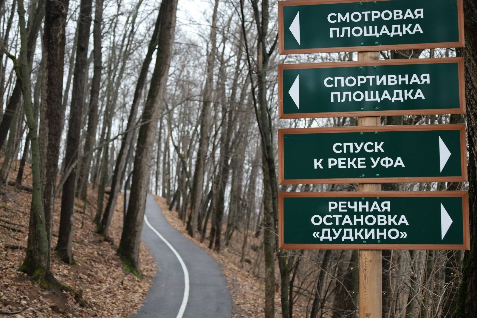 Ратмир Мавлиев тг-канал