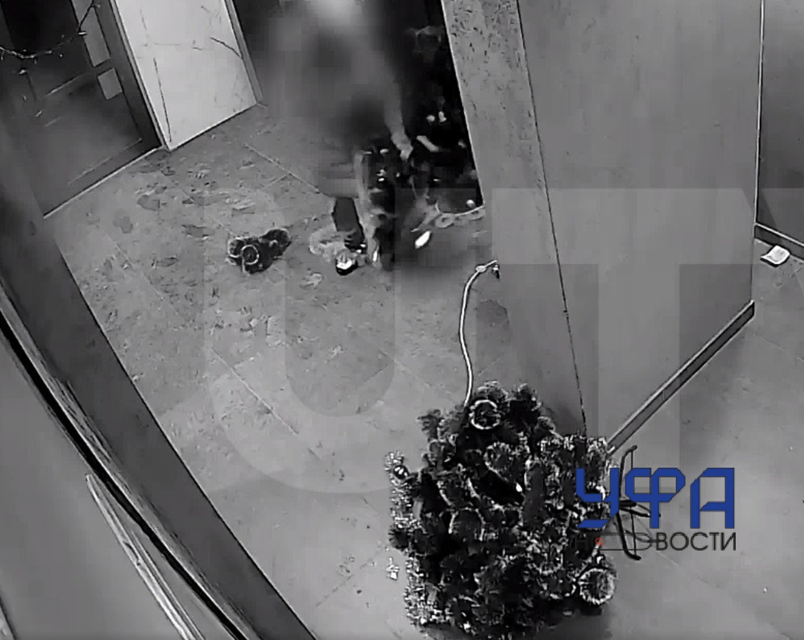 Фото: скриншот видео с камер