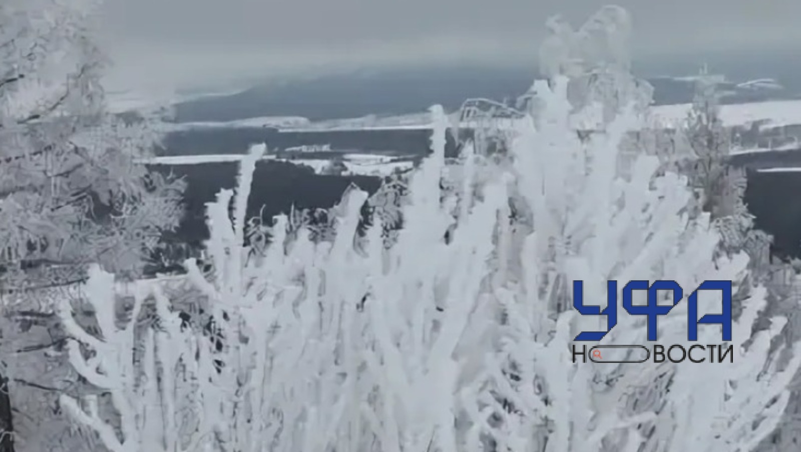 архив архив