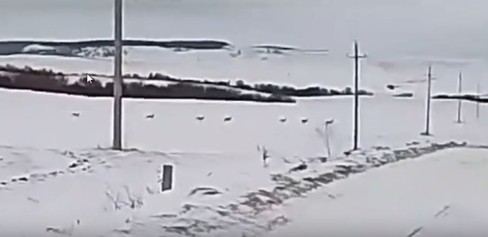 Минэкологии Башкирии пресс-служба