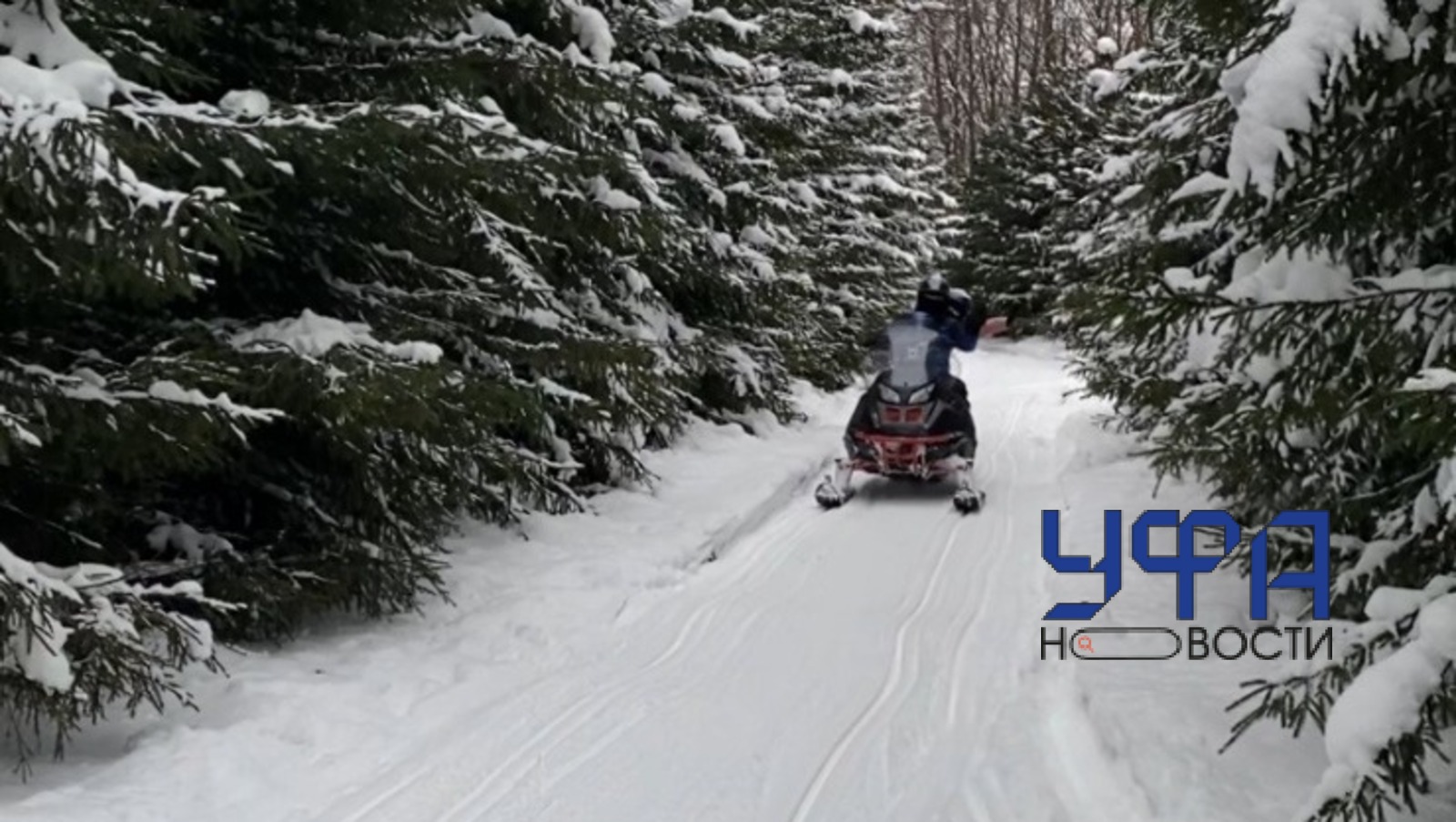 Фото автора Фотобанк Ufanovosti.ru