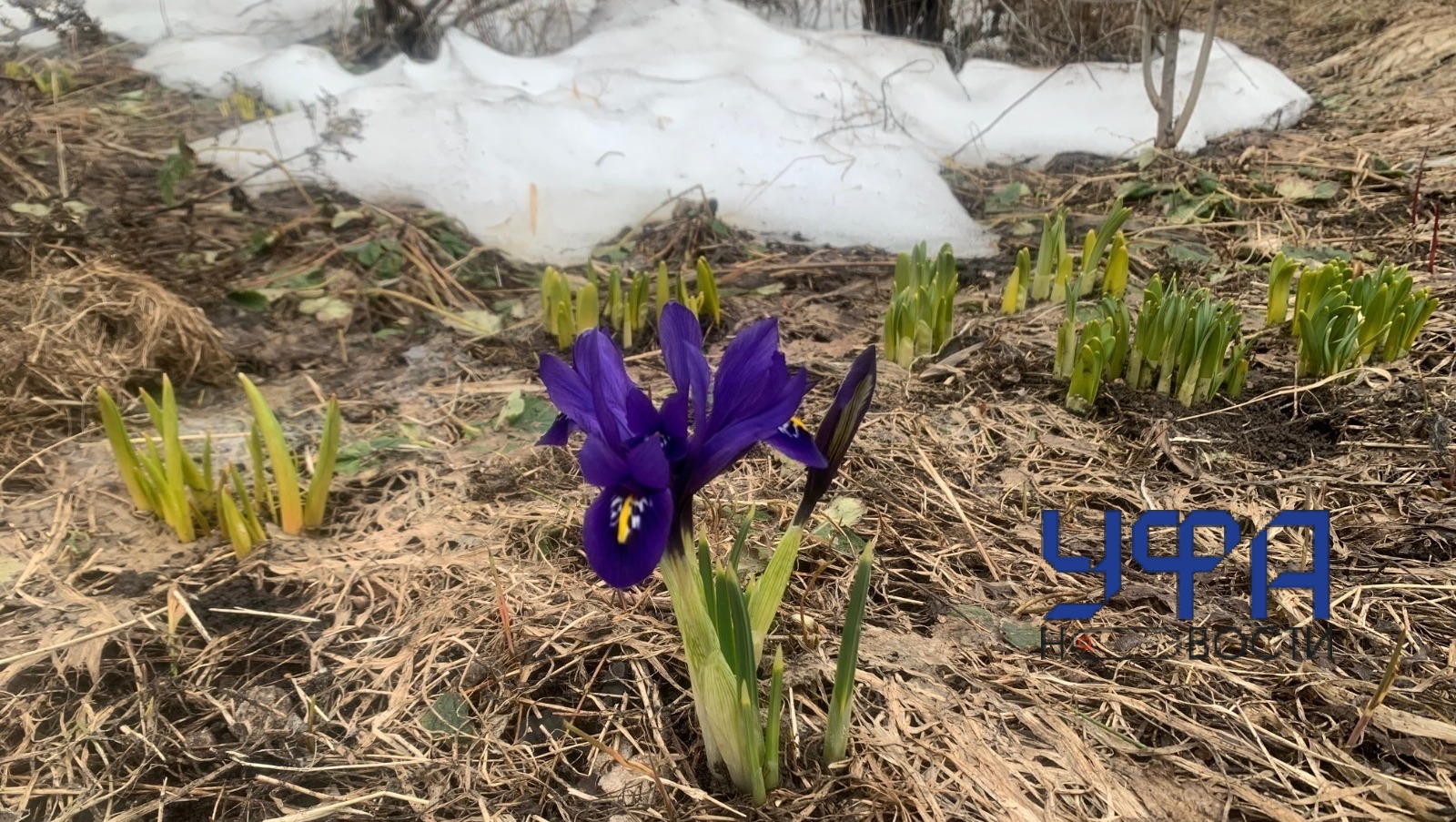 Фотобанк Ufanovosti.ru Архив