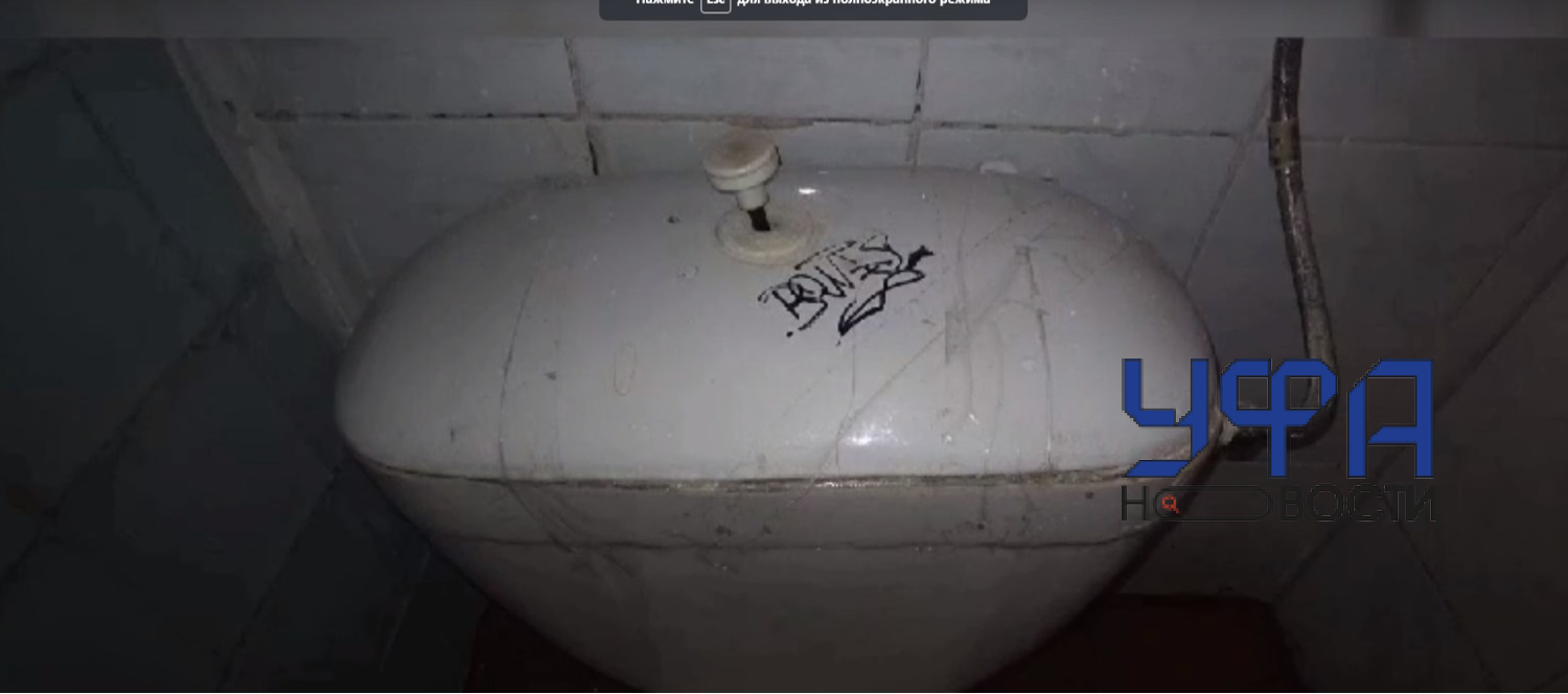 Фото: социальные сети