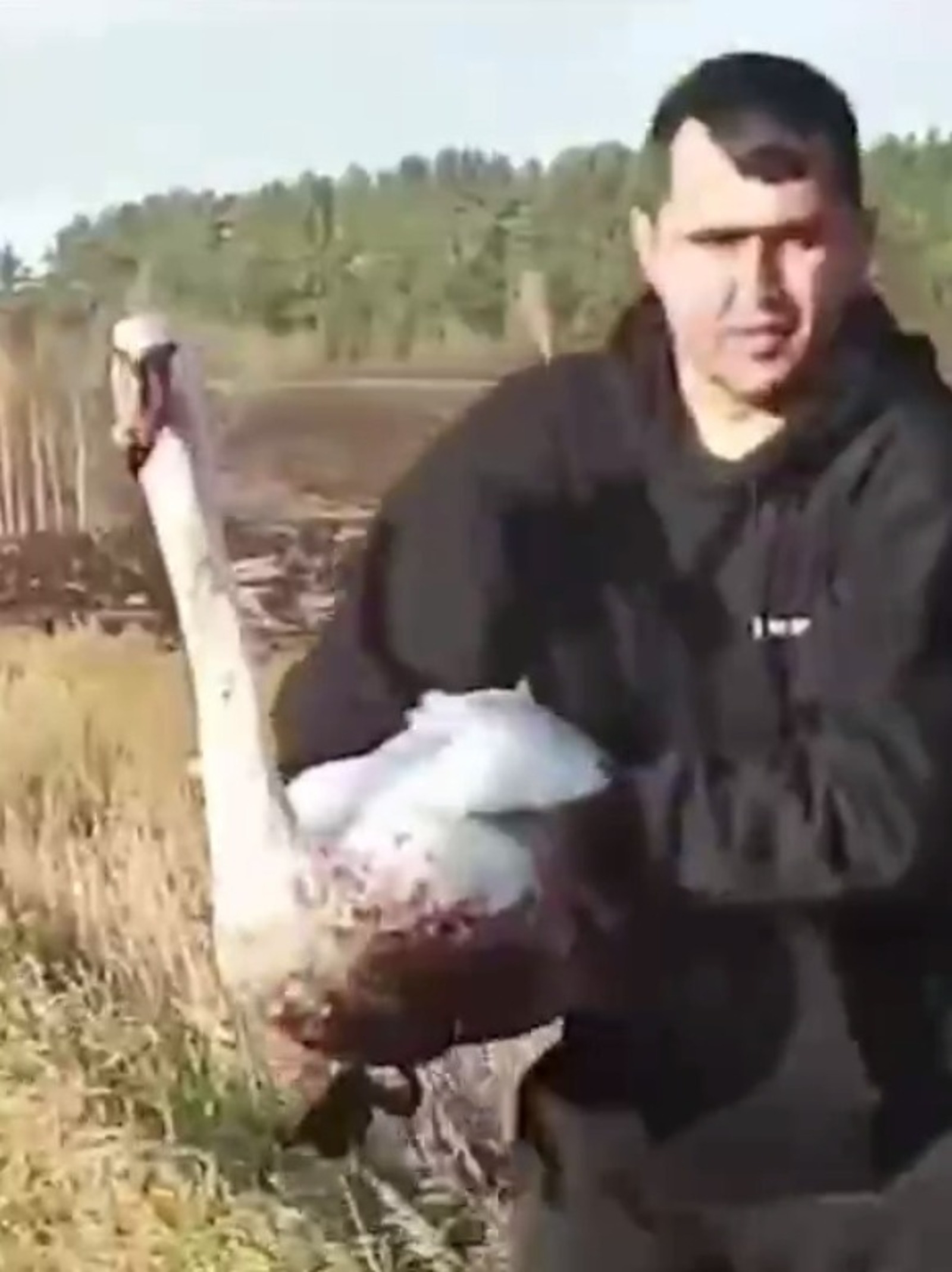 Скриншот видео "Пин и Пуф"