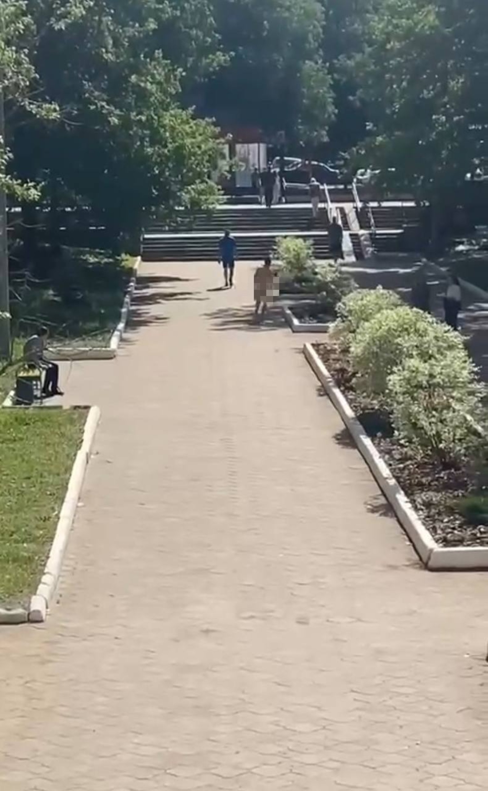 скриншот видео