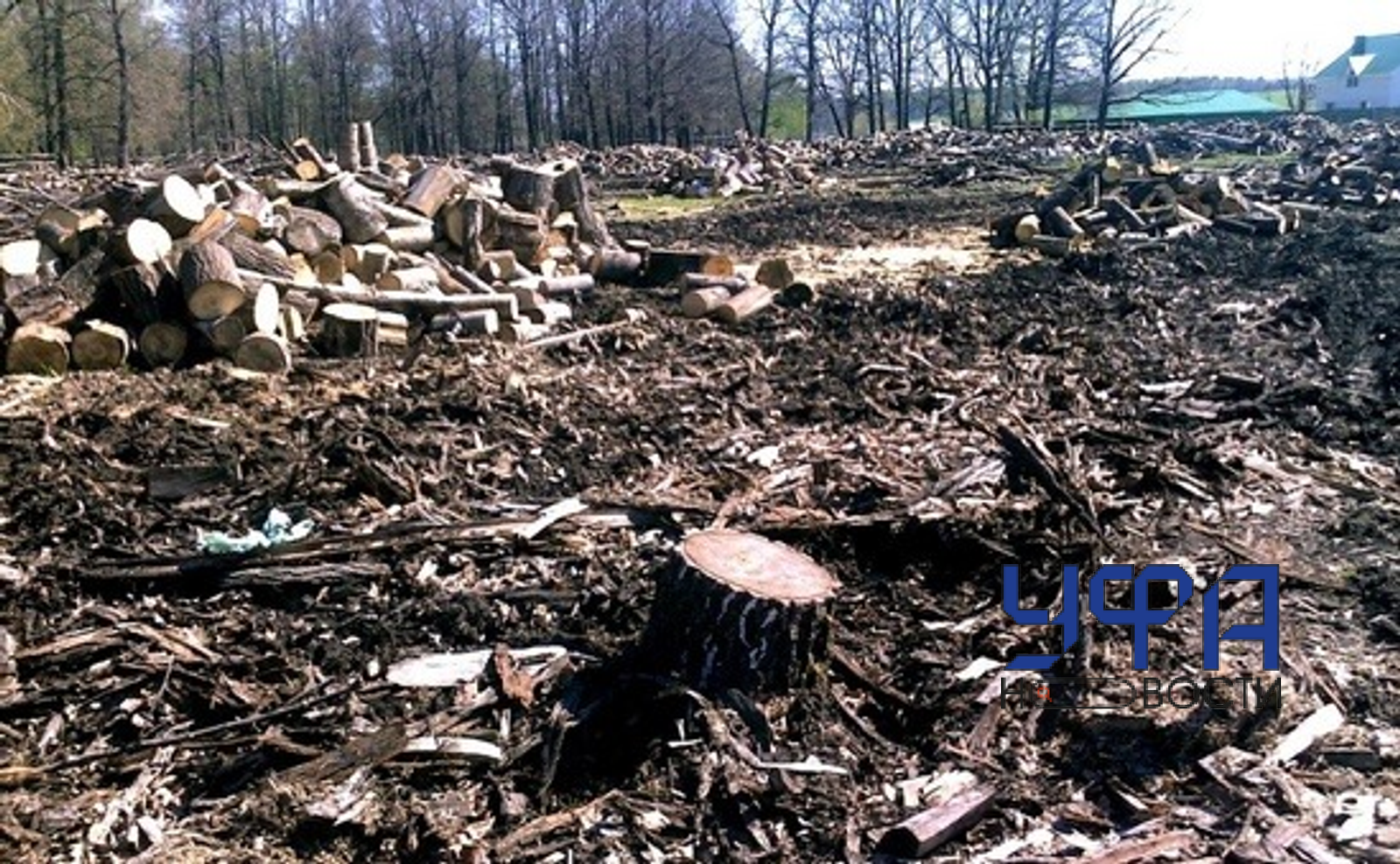 Фотобанк Ufanovosti.ru Архив