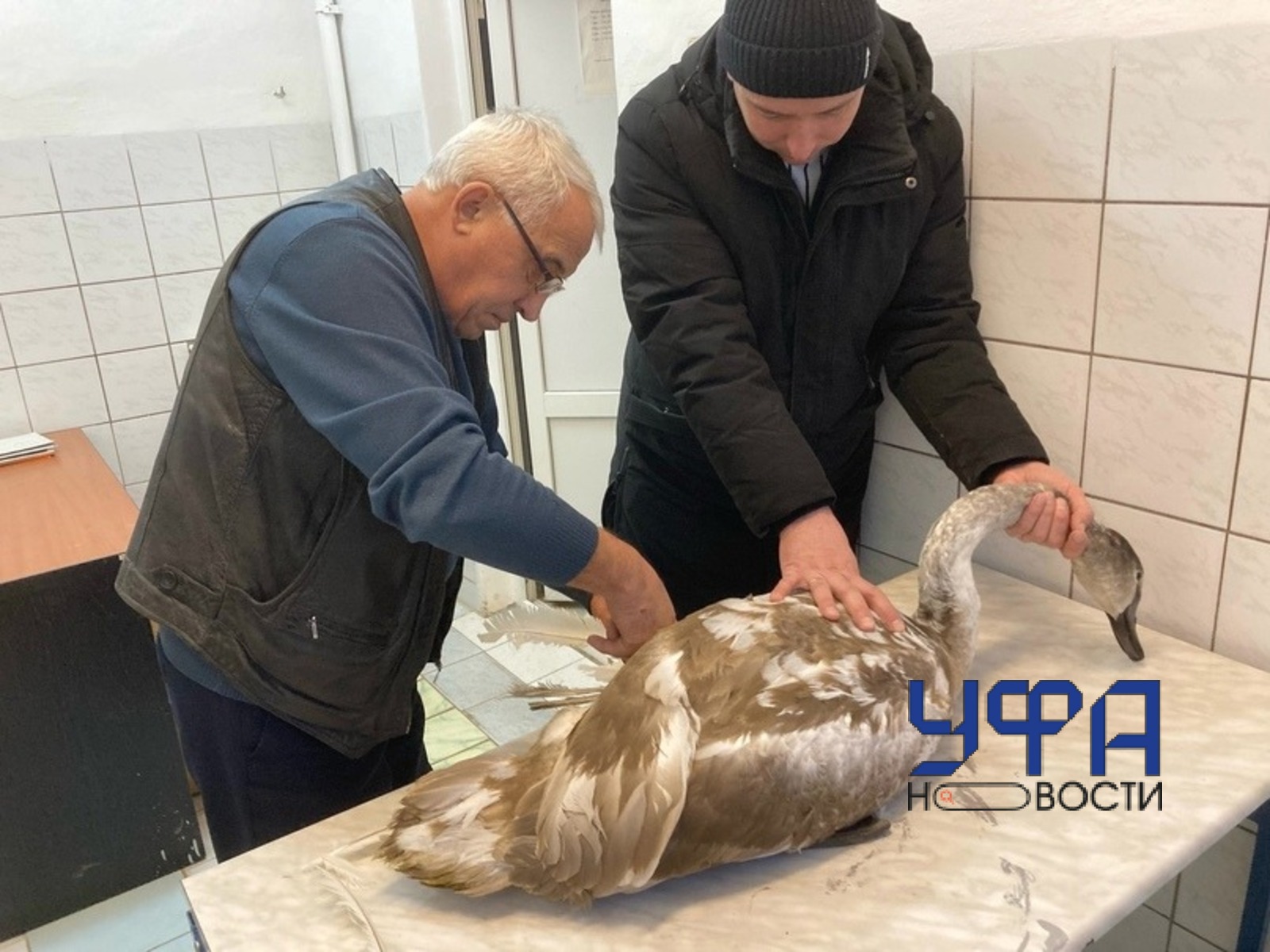 Фото: ГБУ Ветстанция г.Янаула