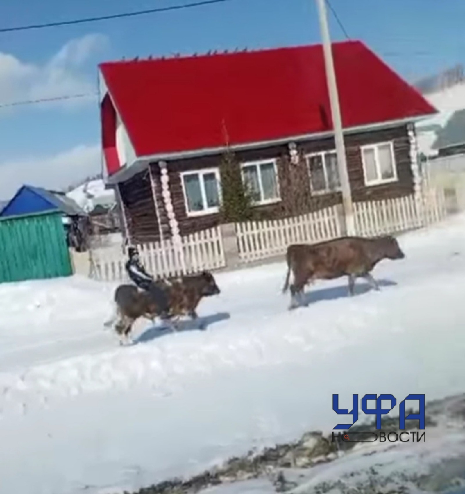 Фото: скриншот видео