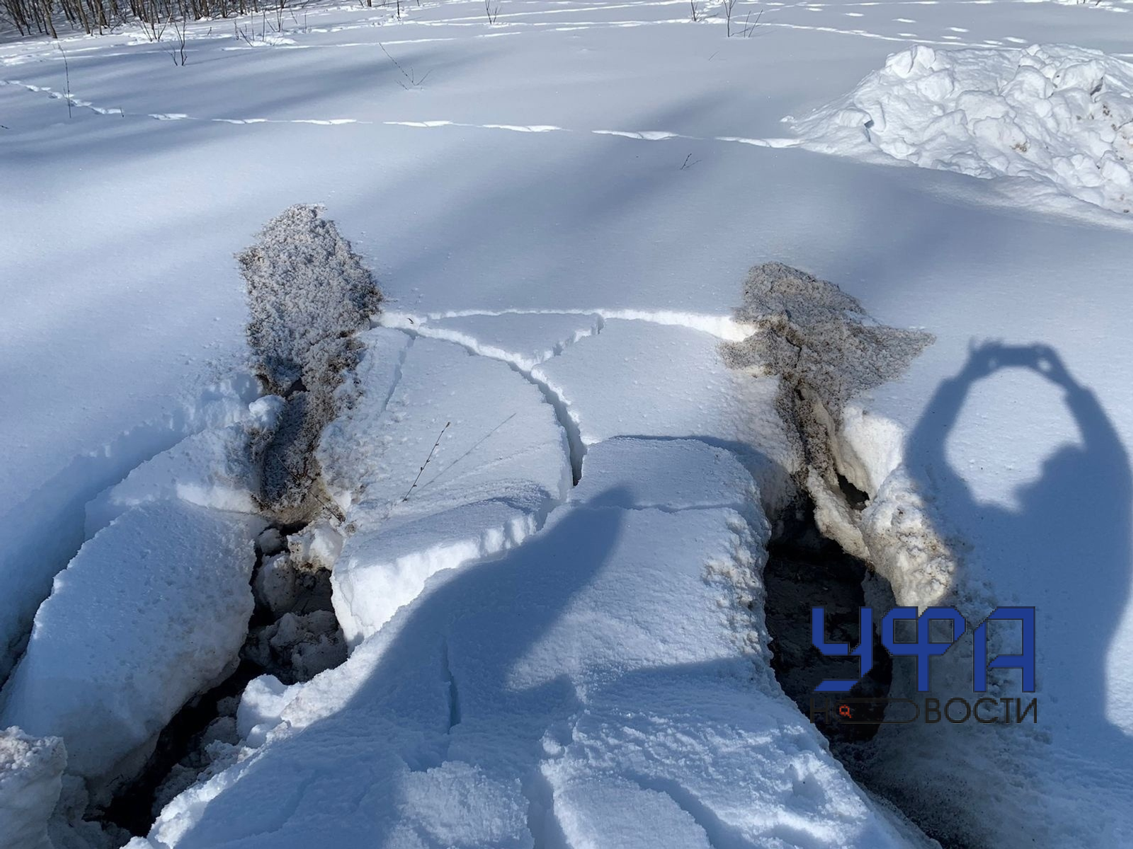 Фото: социальные сети