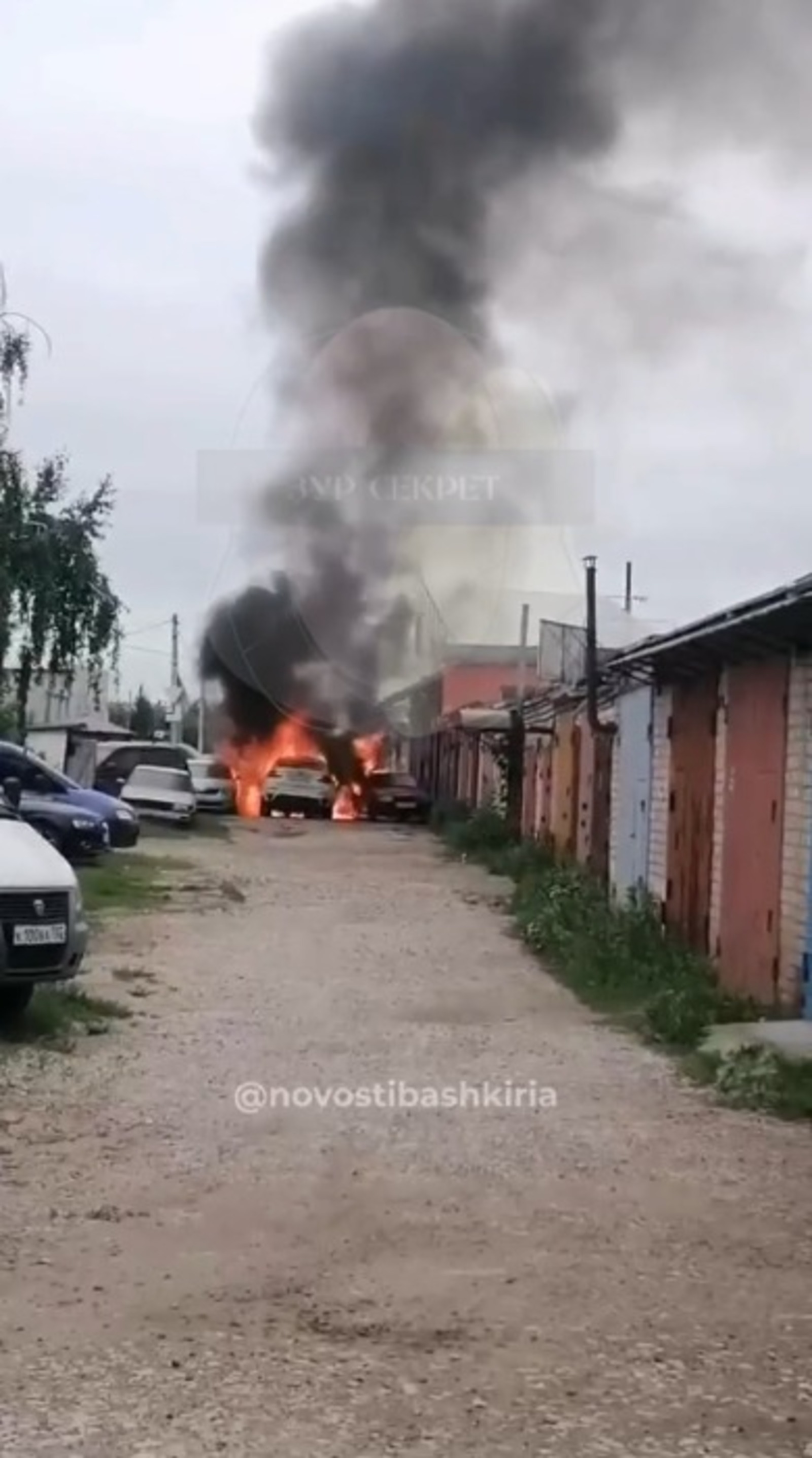скриншот видео