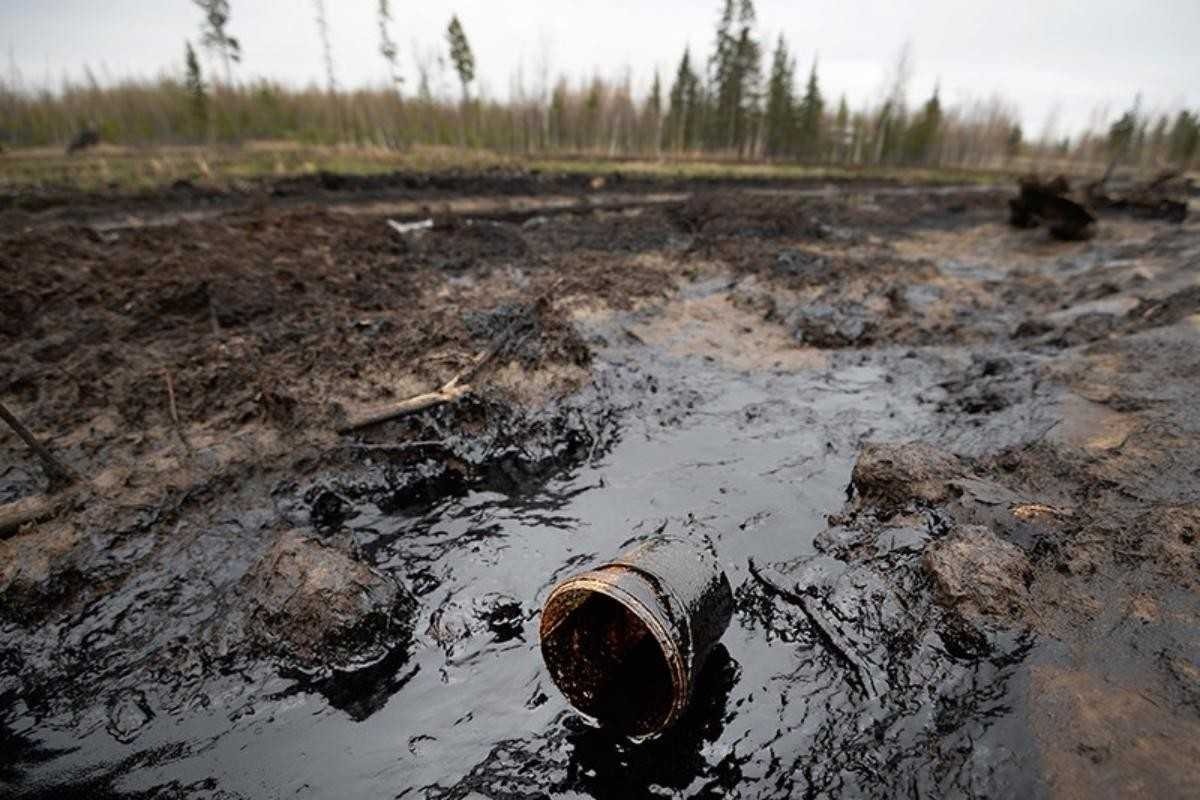 Загрязнили два гектара почвы: в Башкирии осудят директора коммерческого предприятия 