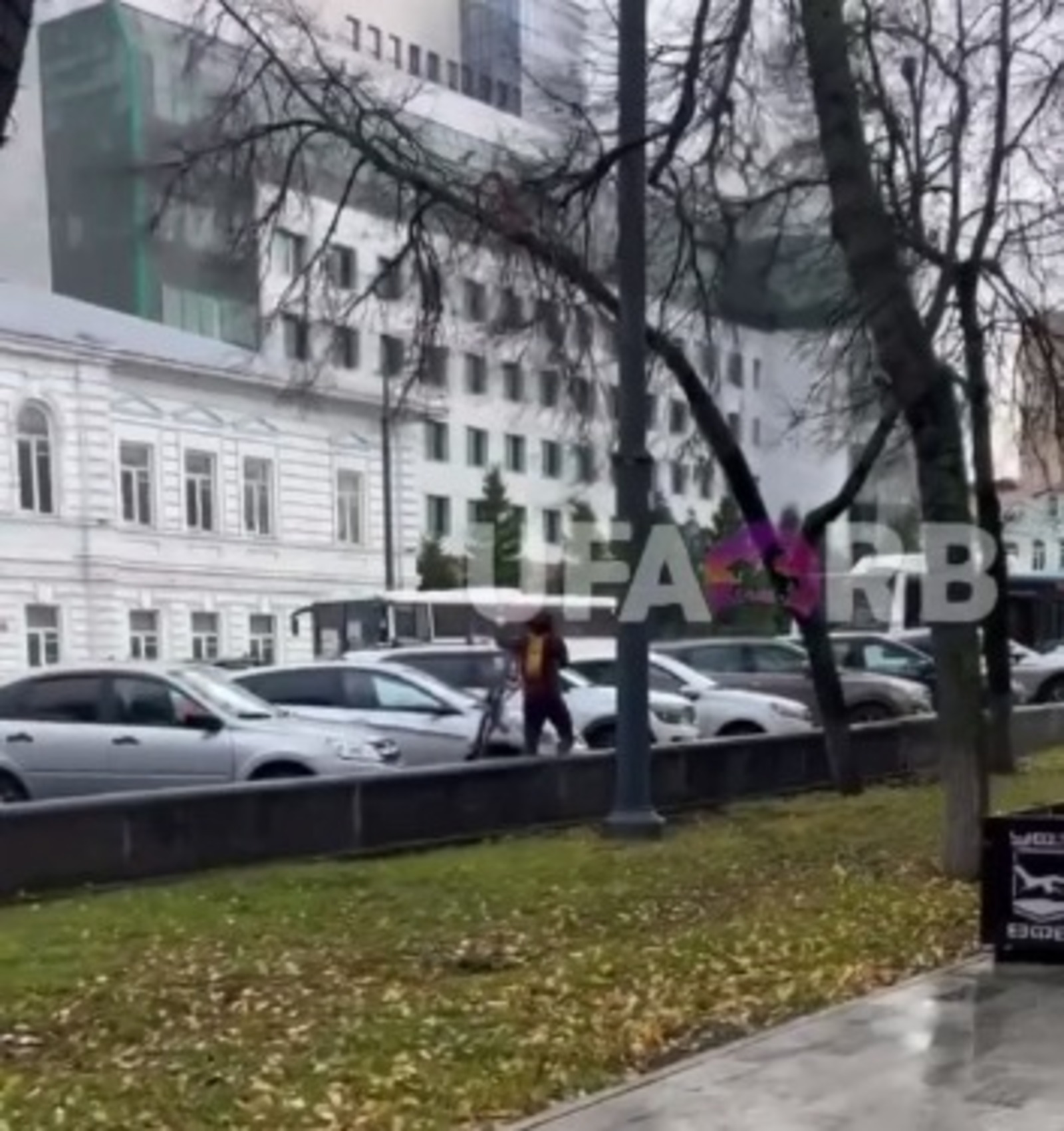 Скриншот видео / тг-канал «Башкирия Online»