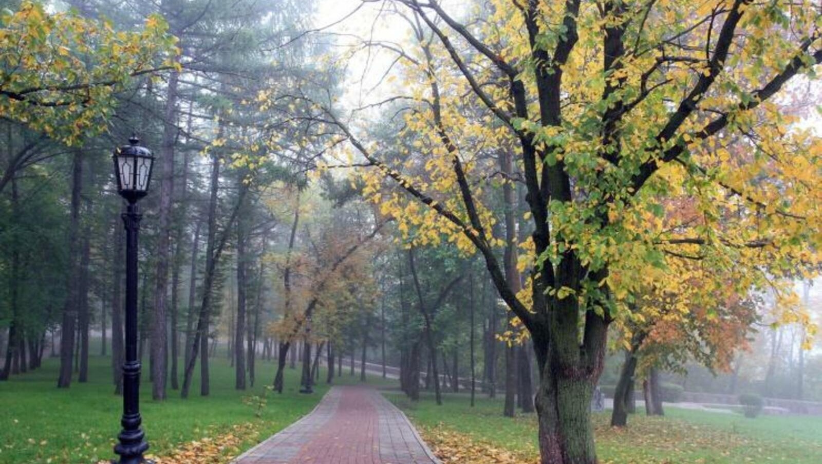 Фотобанк UfaNovosti.ru