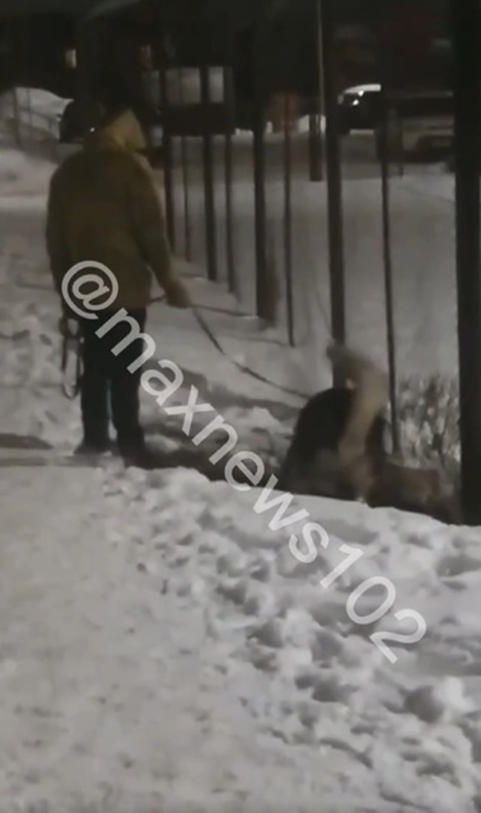 скриншот видео