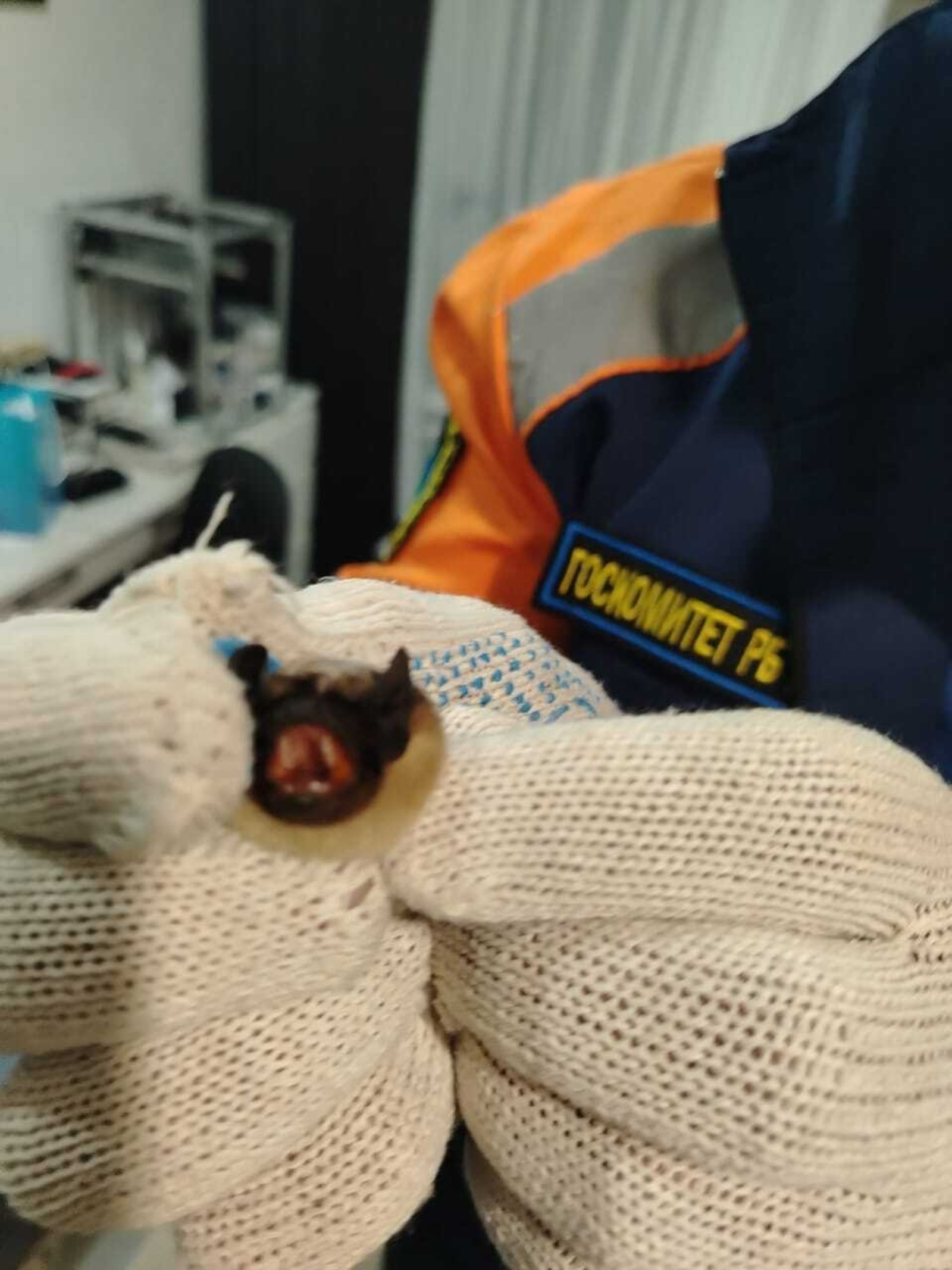 Фото: ГК РБ по ЧС