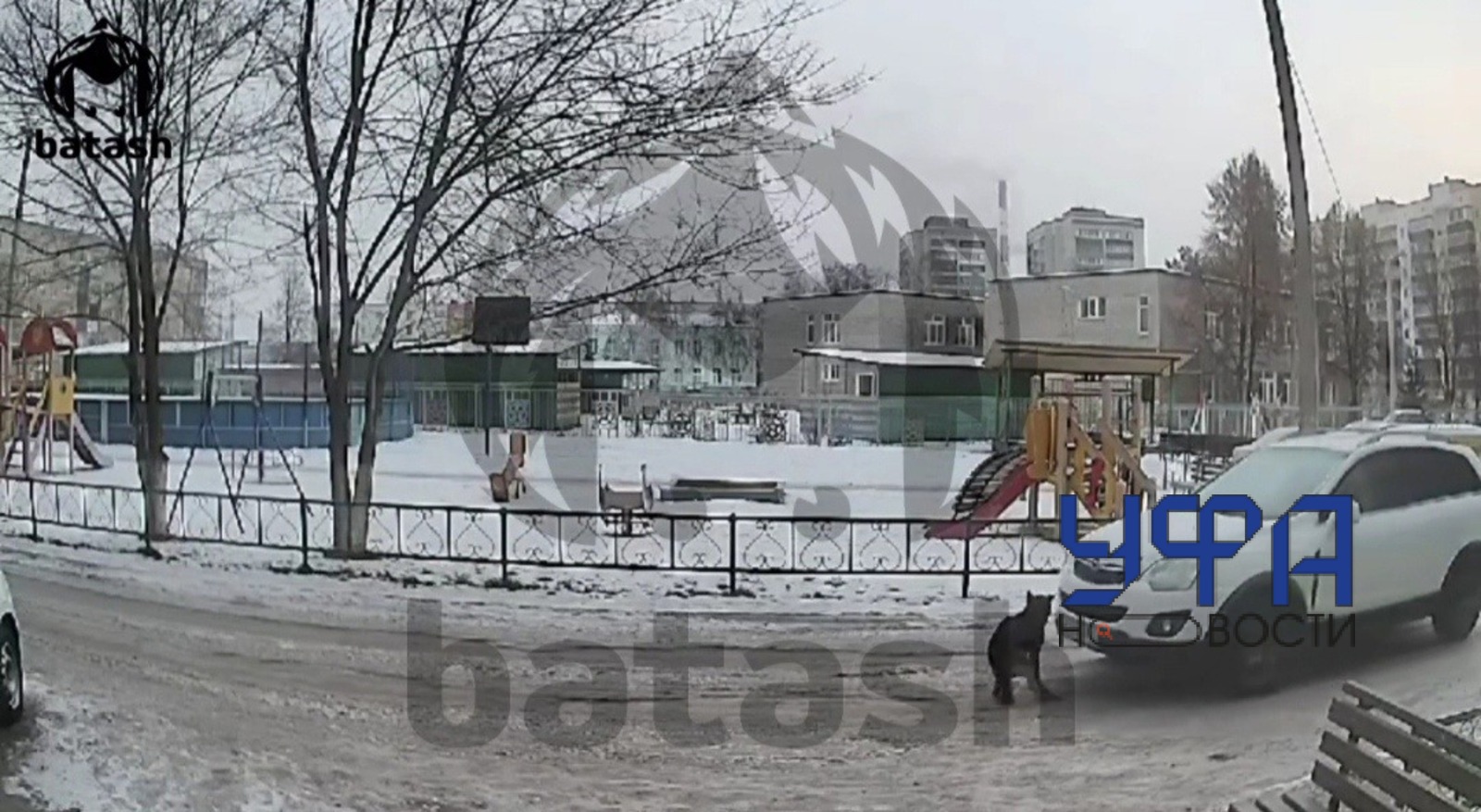 Фото: скриншот видео