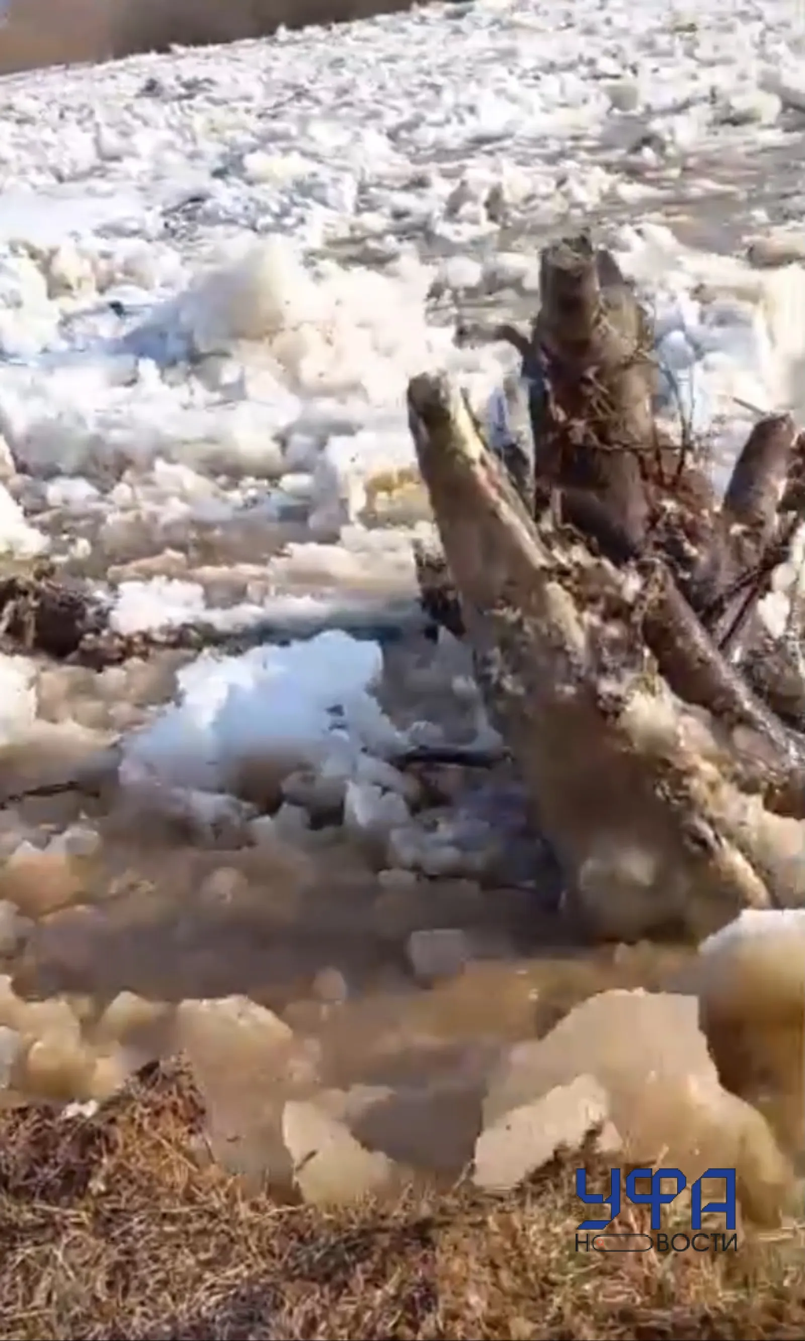 Скриншот видео