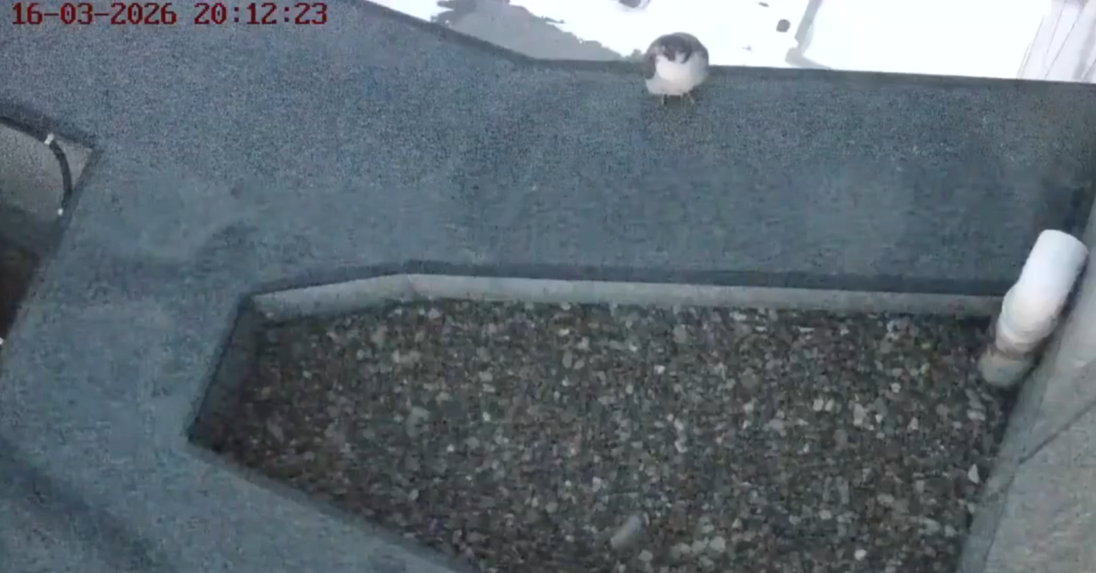 Скриншот видео Соцсети